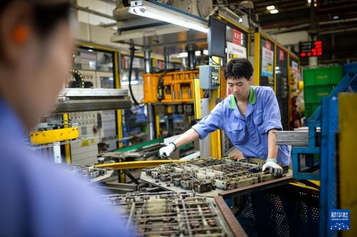 因地制宜，向新而行 佛山以云计算装备技术服务赋能产业升级